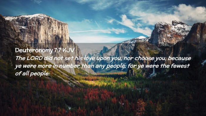 Picture 02 - Deuteronomy 7:7 KJV Desktop Wallpaper - The LORD did not set his love upon you, nor - Desktop Bible Verse Wallpaper