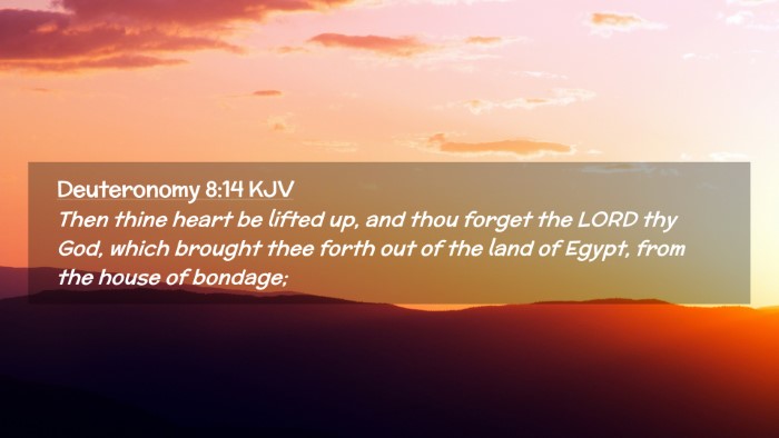 Picture 02 - Deuteronomy 8:14 KJV Desktop Wallpaper - Then thine heart be lifted up, and thou forget - Desktop Bible Verse Wallpaper