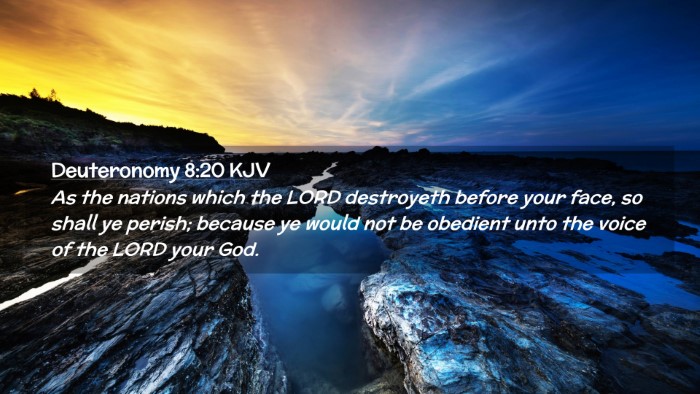 Picture 02 - Deuteronomy 8:20 KJV Desktop Wallpaper - As the nations which the LORD destroyeth before - Desktop Bible Verse Wallpaper
