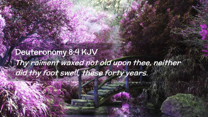 Picture 02 - Deuteronomy 8:4 KJV Desktop Wallpaper - Thy raiment waxed not old upon thee, neither did - Desktop Bible Verse Wallpaper