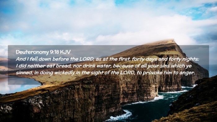 Picture 02 - Deuteronomy 9:18 KJV Desktop Wallpaper - And I fell down before the LORD, as at the first, - Desktop Bible Verse Wallpaper