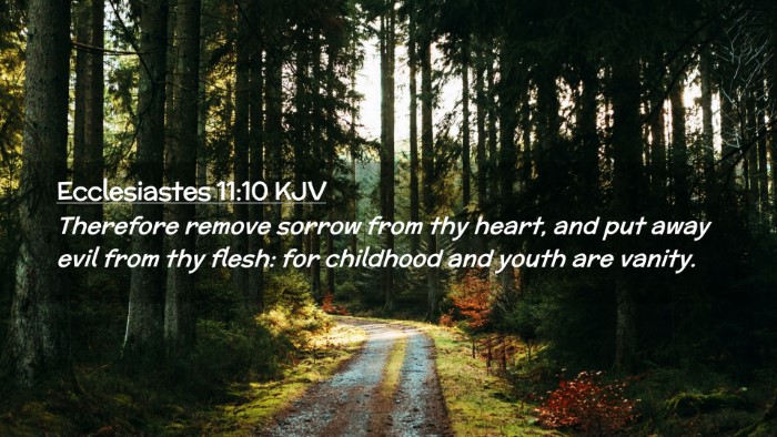Picture 02 - Ecclesiastes 11:10 KJV Desktop Wallpaper - Therefore remove sorrow from thy heart, and put - Desktop Bible Verse Wallpaper
