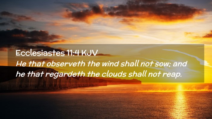 Picture 02 - Ecclesiastes 11:4 KJV Desktop Wallpaper - He that observeth the wind shall not sow; and he - Desktop Bible Verse Wallpaper
