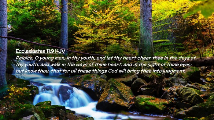 Picture 02 - Ecclesiastes 11:9 KJV Desktop Wallpaper - Rejoice, O young man, in thy youth; and let thy - Desktop Bible Verse Wallpaper