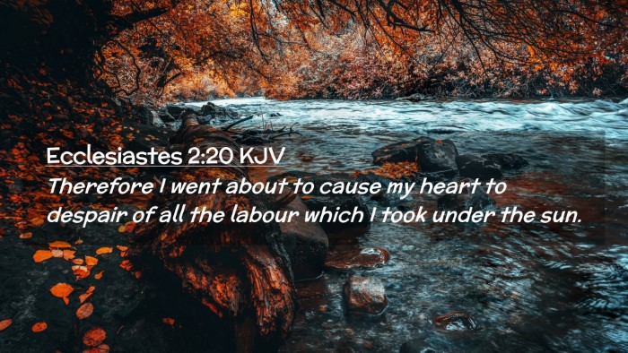 Picture 02 - Ecclesiastes 2:20 KJV Desktop Wallpaper - Therefore I went about to cause my heart to - Desktop Bible Verse Wallpaper