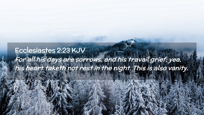 Picture 02 - Ecclesiastes 2:23 KJV Desktop Wallpaper - For all his days are sorrows, and his travail - Desktop Bible Verse Wallpaper