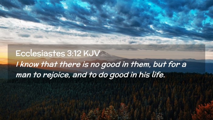 Picture 02 - Ecclesiastes 3:12 KJV Desktop Wallpaper - I know that there is no good in them, but for a - Desktop Bible Verse Wallpaper