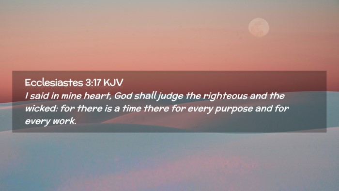 Picture 02 - Ecclesiastes 3:17 KJV Desktop Wallpaper - I said in mine heart, God shall judge the - Desktop Bible Verse Wallpaper