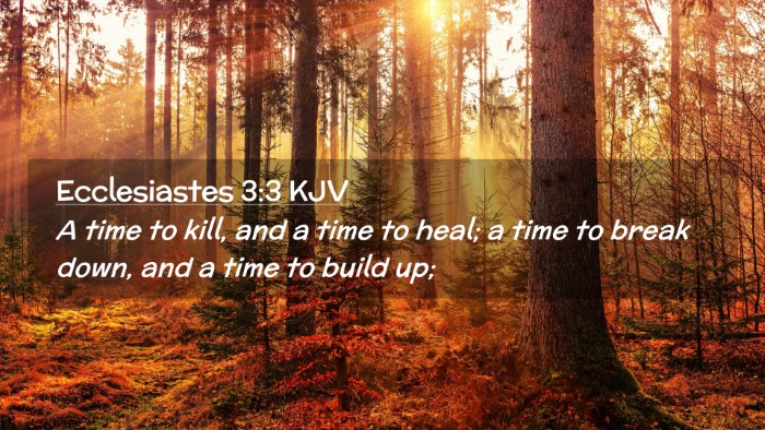 Picture 02 - Ecclesiastes 3:3 KJV Desktop Wallpaper - A time to kill, and a time to heal; a time to - Desktop Bible Verse Wallpaper