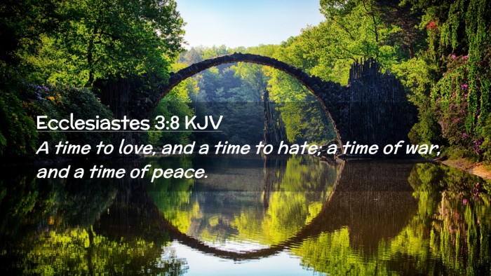 Picture 02 - Ecclesiastes 3:8 KJV Desktop Wallpaper - A time to love, and a time to hate; a time of - Desktop Bible Verse Wallpaper
