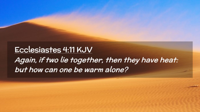 Picture 02 - Ecclesiastes 4:11 KJV Desktop Wallpaper - Again, if two lie together, then they have heat: - Desktop Bible Verse Wallpaper