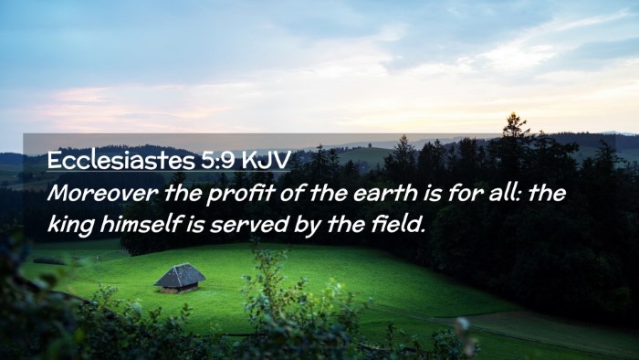 Picture 02 - Ecclesiastes 5:9 KJV Desktop Wallpaper - Moreover the profit of the earth is for all: the - Desktop Bible Verse Wallpaper
