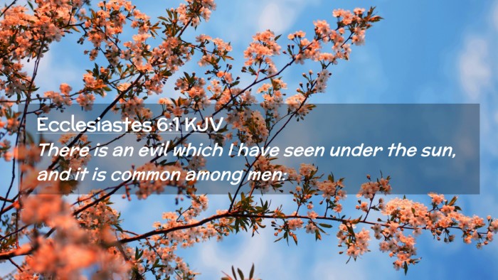 Picture 02 - Ecclesiastes 6:1 KJV Desktop Wallpaper - There is an evil which I have seen under the sun, - Desktop Bible Verse Wallpaper