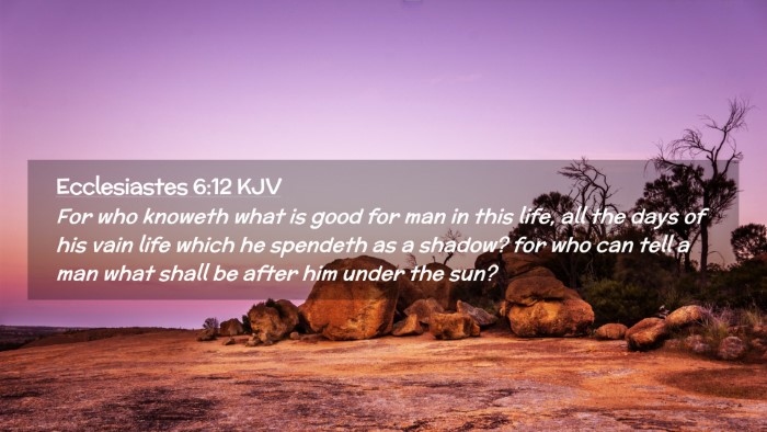 Picture 02 - Ecclesiastes 6:12 KJV Desktop Wallpaper - For who knoweth what is good for man in this - Desktop Bible Verse Wallpaper