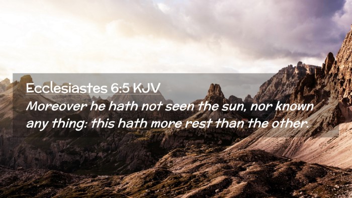 Picture 02 - Ecclesiastes 6:5 KJV Desktop Wallpaper - Moreover he hath not seen the sun, nor known any - Desktop Bible Verse Wallpaper