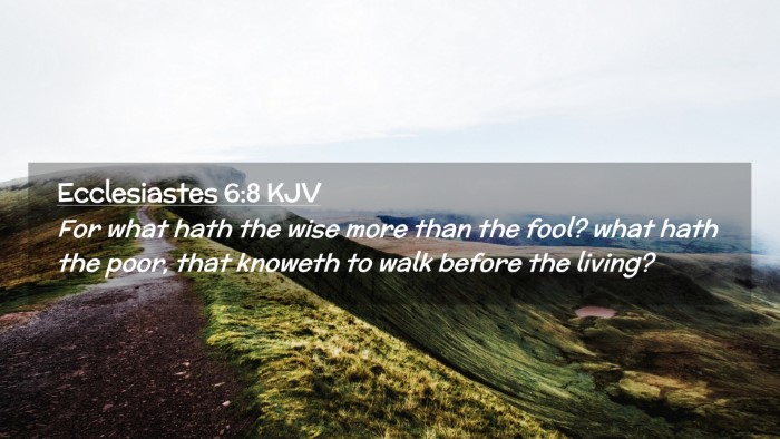 Picture 02 - Ecclesiastes 6:8 KJV Desktop Wallpaper - For what hath the wise more than the fool? what - Desktop Bible Verse Wallpaper