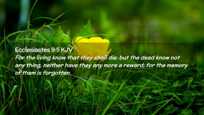 Picture 02 - Ecclesiastes 9:5 KJV Desktop Wallpaper - For the living know that they shall die: but the - Desktop Bible Verse Wallpaper