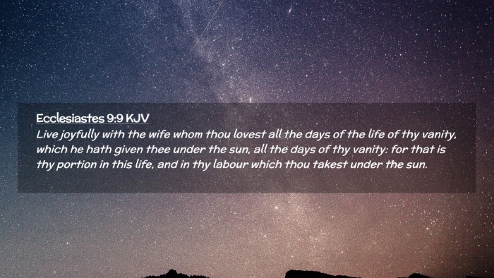 Picture 02 - Ecclesiastes 9:9 KJV Desktop Wallpaper - Live joyfully with the wife whom thou lovest all - Desktop Bible Verse Wallpaper