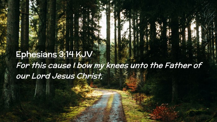 Picture 02 - Ephesians 3:14 KJV Desktop Wallpaper - For this cause I bow my knees unto the Father of - Desktop Bible Verse Wallpaper