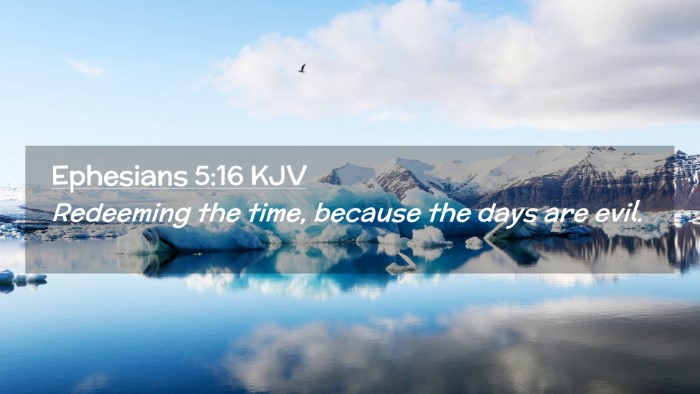 Picture 02 - Ephesians 5:16 KJV Desktop Wallpaper - Redeeming the time, because the days are - Desktop Bible Verse Wallpaper