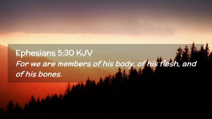 Picture 02 - Ephesians 5:30 KJV Desktop Wallpaper - For we are members of his body, of his flesh, and - Desktop Bible Verse Wallpaper
