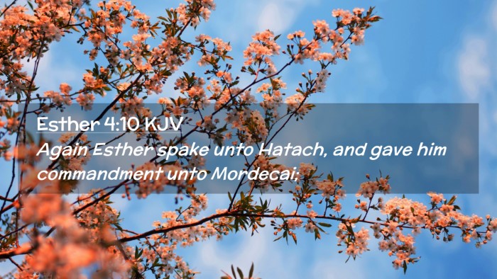 Picture 02 - Esther 4:10 KJV Desktop Wallpaper - Again Esther spake unto Hatach, and gave him - Desktop Bible Verse Wallpaper
