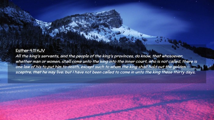 Picture 02 - Esther 4:11 KJV Desktop Wallpaper - All the king's servants, and the people of the - Desktop Bible Verse Wallpaper