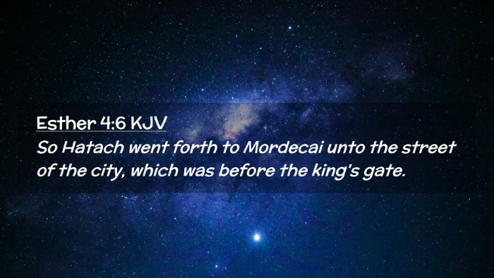 Picture 02 - Esther 4:6 KJV Desktop Wallpaper - So Hatach went forth to Mordecai unto the street - Desktop Bible Verse Wallpaper