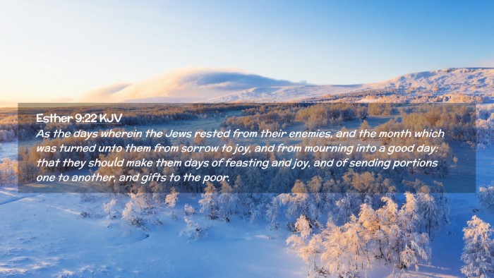 Picture 02 - Esther 9:22 KJV Desktop Wallpaper - As the days wherein the Jews rested from their - Desktop Bible Verse Wallpaper