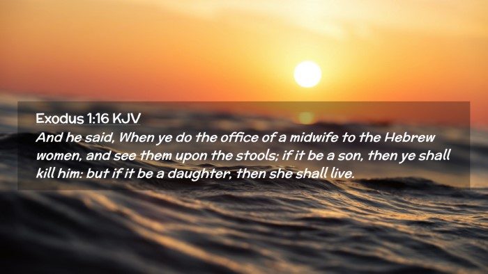 Picture 02 - Exodus 1:16 KJV Desktop Wallpaper - And he said, When ye do the office of a midwife - Desktop Bible Verse Wallpaper