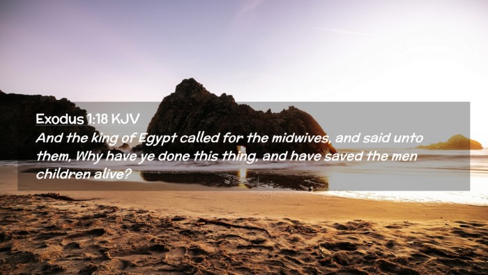 Picture 02 - Exodus 1:18 KJV Desktop Wallpaper - And the king of Egypt called for the midwives, - Desktop Bible Verse Wallpaper
