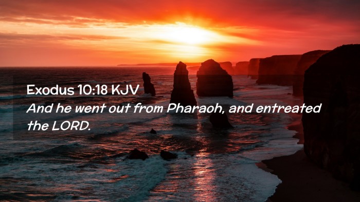 Picture 02 - Exodus 10:18 KJV Desktop Wallpaper - And he went out from Pharaoh, and entreated the - Desktop Bible Verse Wallpaper