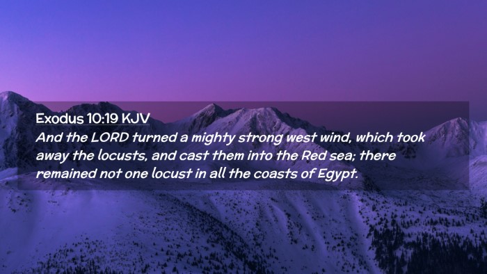 Picture 02 - Exodus 10:19 KJV Desktop Wallpaper - And the LORD turned a mighty strong west wind, - Desktop Bible Verse Wallpaper