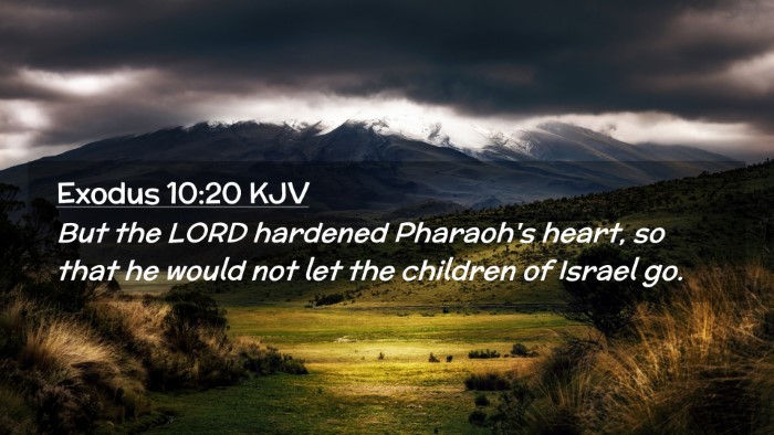 Picture 02 - Exodus 10:20 KJV Desktop Wallpaper - But the LORD hardened Pharaoh's heart, so that he - Desktop Bible Verse Wallpaper