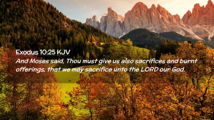 Picture 02 - Exodus 10:25 KJV Desktop Wallpaper - And Moses said, Thou must give us also sacrifices - Desktop Bible Verse Wallpaper