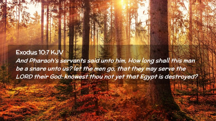Picture 02 - Exodus 10:7 KJV Desktop Wallpaper - And Pharaoh's servants said unto him, How long - Desktop Bible Verse Wallpaper