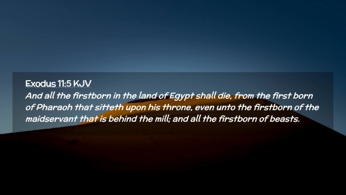 Picture 02 - Exodus 11:5 KJV Desktop Wallpaper - And all the firstborn in the land of Egypt shall - Desktop Bible Verse Wallpaper
