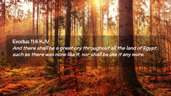 Picture 02 - Exodus 11:6 KJV Desktop Wallpaper - And there shall be a great cry throughout all the - Desktop Bible Verse Wallpaper