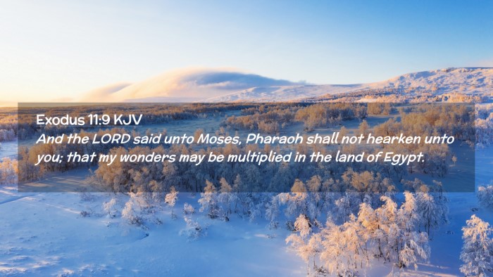 Picture 02 - Exodus 11:9 KJV Desktop Wallpaper - And the LORD said unto Moses, Pharaoh shall not - Desktop Bible Verse Wallpaper