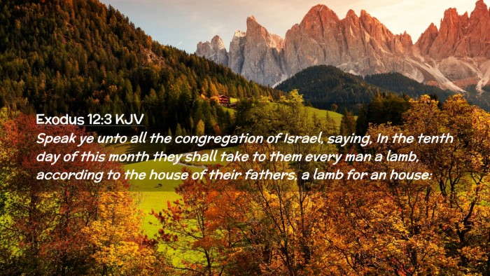 Picture 02 - Exodus 12:3 KJV Desktop Wallpaper - Speak ye unto all the congregation of Israel, - Desktop Bible Verse Wallpaper