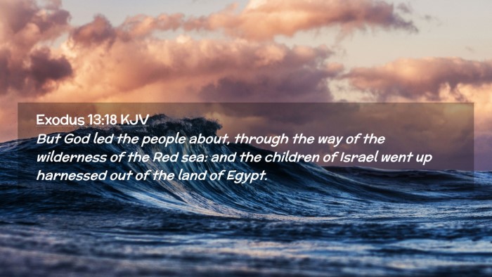 Picture 02 - Exodus 13:18 KJV Desktop Wallpaper - But God led the people about, through the way of - Desktop Bible Verse Wallpaper