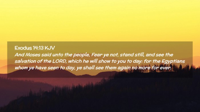 Picture 02 - Exodus 14:13 KJV Desktop Wallpaper - And Moses said unto the people, Fear ye not, - Desktop Bible Verse Wallpaper