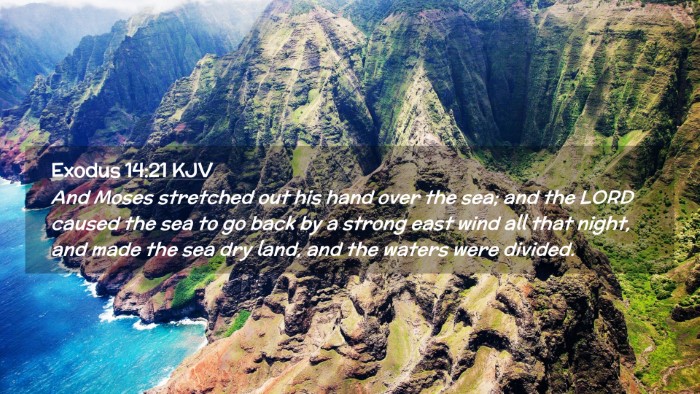 Picture 02 - Exodus 14:21 KJV Desktop Wallpaper - And Moses stretched out his hand over the sea; - Desktop Bible Verse Wallpaper