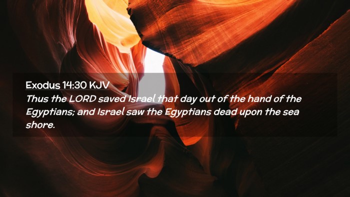 Picture 02 - Exodus 14:30 KJV Desktop Wallpaper - Thus the LORD saved Israel that day out of the - Desktop Bible Verse Wallpaper