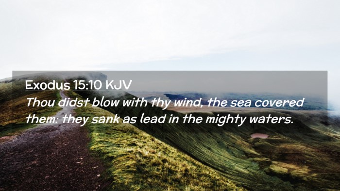 Picture 02 - Exodus 15:10 KJV Desktop Wallpaper - Thou didst blow with thy wind, the sea covered - Desktop Bible Verse Wallpaper
