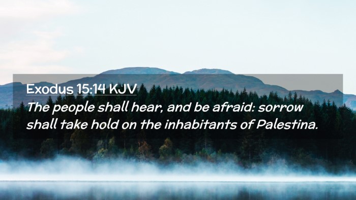 Picture 02 - Exodus 15:14 KJV Desktop Wallpaper - The people shall hear, and be afraid: sorrow - Desktop Bible Verse Wallpaper