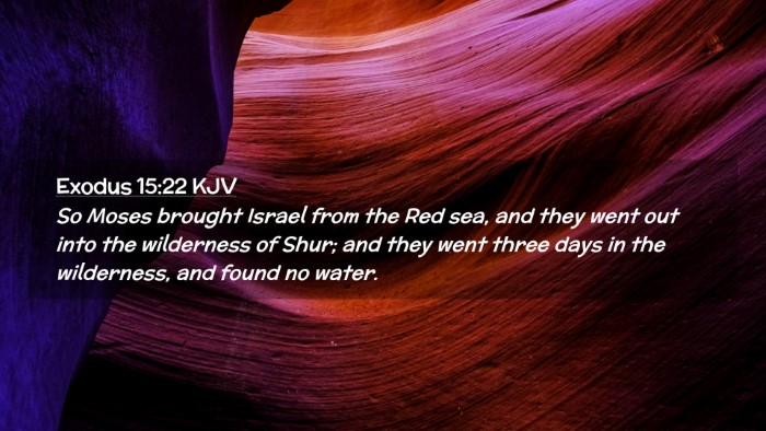 Picture 02 - Exodus 15:22 KJV Desktop Wallpaper - So Moses brought Israel from the Red sea, and - Desktop Bible Verse Wallpaper
