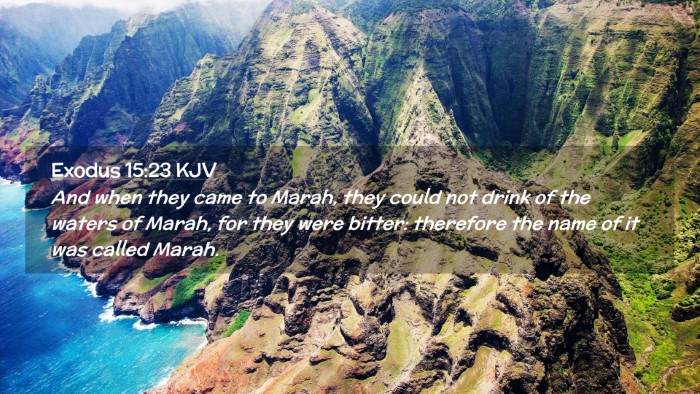 Picture 02 - Exodus 15:23 KJV Desktop Wallpaper - And when they came to Marah, they could not drink - Desktop Bible Verse Wallpaper