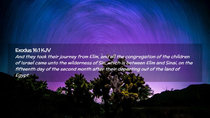 Picture 02 - Exodus 16:1 KJV Desktop Wallpaper - And they took their journey from Elim, and all - Desktop Bible Verse Wallpaper