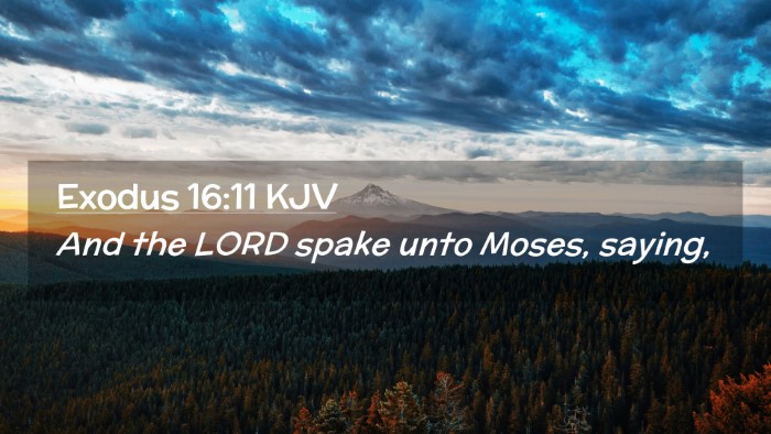 Picture 02 - Exodus 16:11 KJV Desktop Wallpaper - And the LORD spake unto Moses, - Desktop Bible Verse Wallpaper